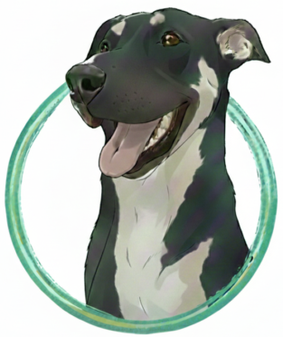 Logo Yo Soy VonVon